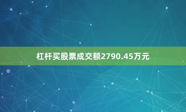 杠杆买股票成交额2790.45万元