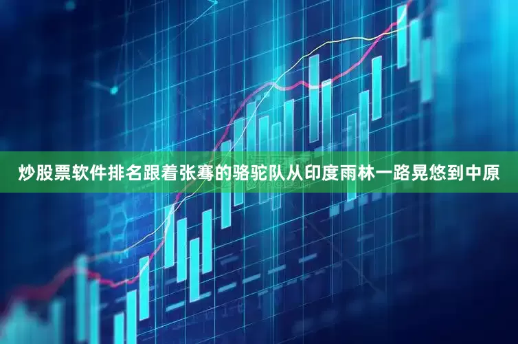 炒股票软件排名跟着张骞的骆驼队从印度雨林一路晃悠到中原
