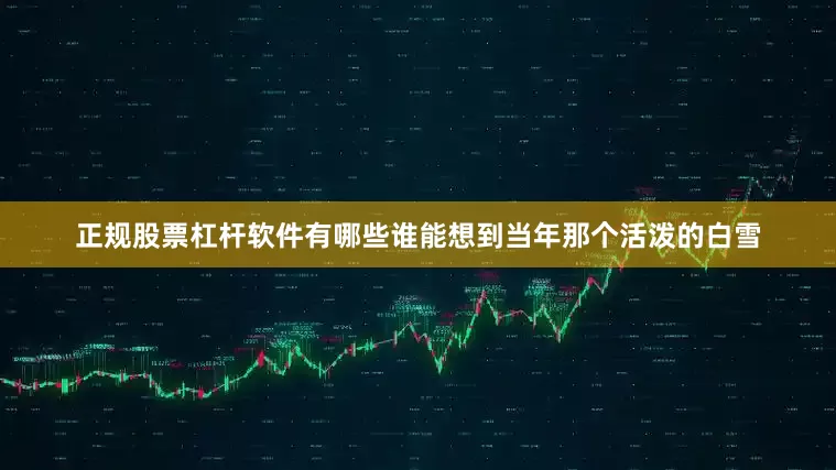 正规股票杠杆软件有哪些谁能想到当年那个活泼的白雪