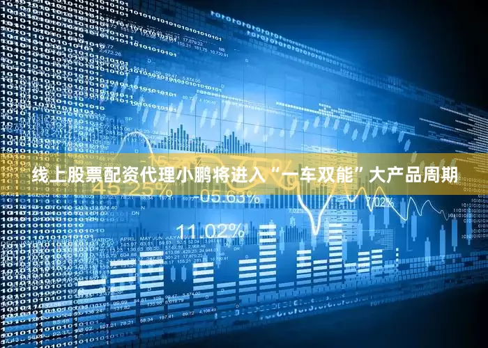线上股票配资代理小鹏将进入“一车双能”大产品周期