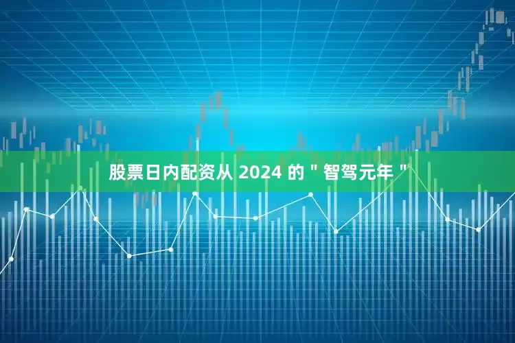 股票日内配资从 2024 的"智驾元年"